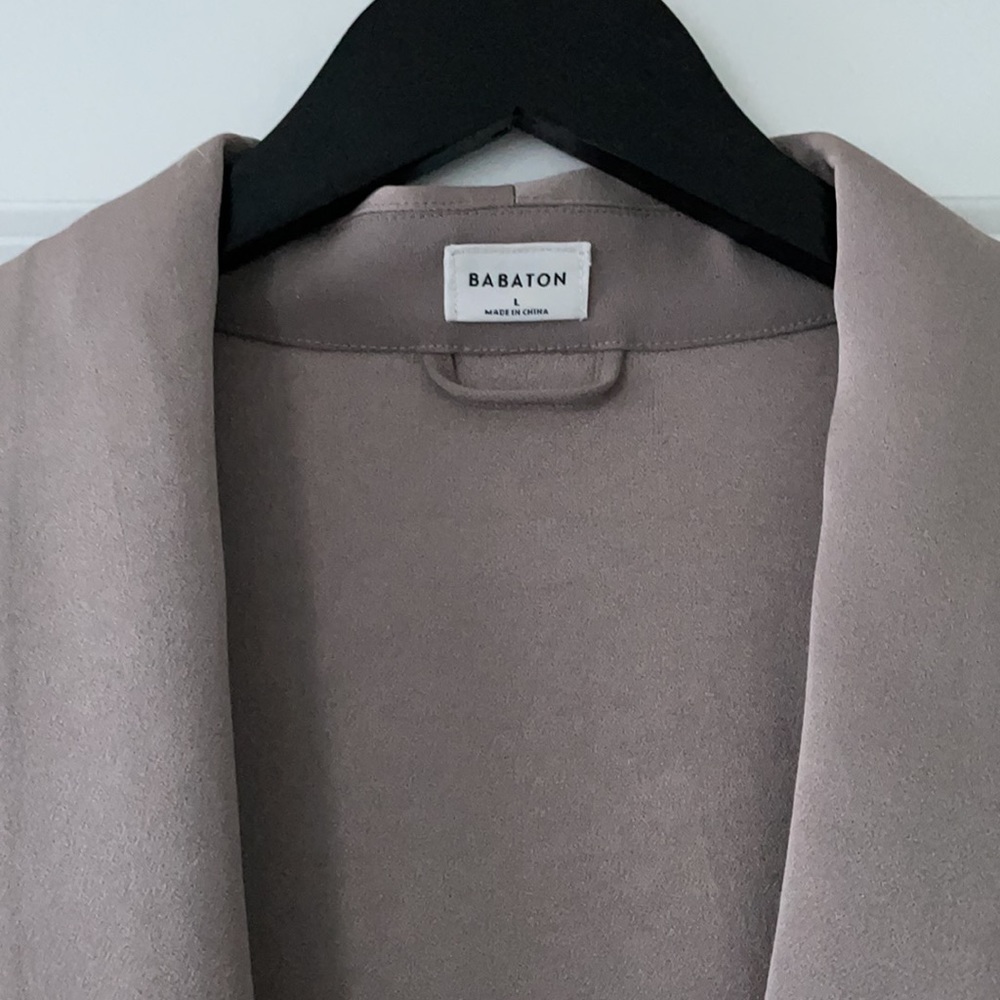 Babaton Blazer - Picture 4 of 6